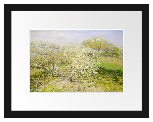 Claude Monet - Frühling Apfelbäume in der Blüte Passepartout Rechteckig 30