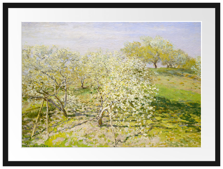 Claude Monet - Frühling Apfelbäume in der Blüte Passepartout Rechteckig 80