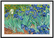 Vincent Van Gogh - Schwertlilien Passepartout Rechteckig 100