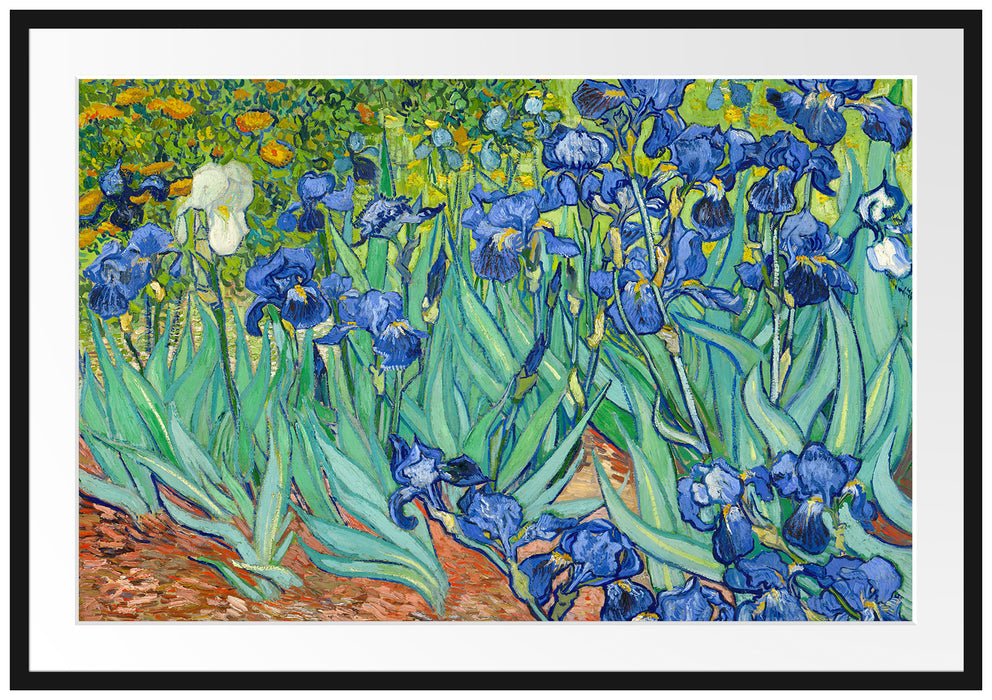 Vincent Van Gogh - Schwertlilien Passepartout Rechteckig 100
