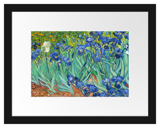 Vincent Van Gogh - Schwertlilien Passepartout Rechteckig 30