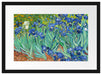 Vincent Van Gogh - Schwertlilien Passepartout Rechteckig 40