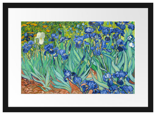 Vincent Van Gogh - Schwertlilien Passepartout Rechteckig 40