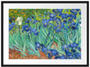 Vincent Van Gogh - Schwertlilien Passepartout Rechteckig 80