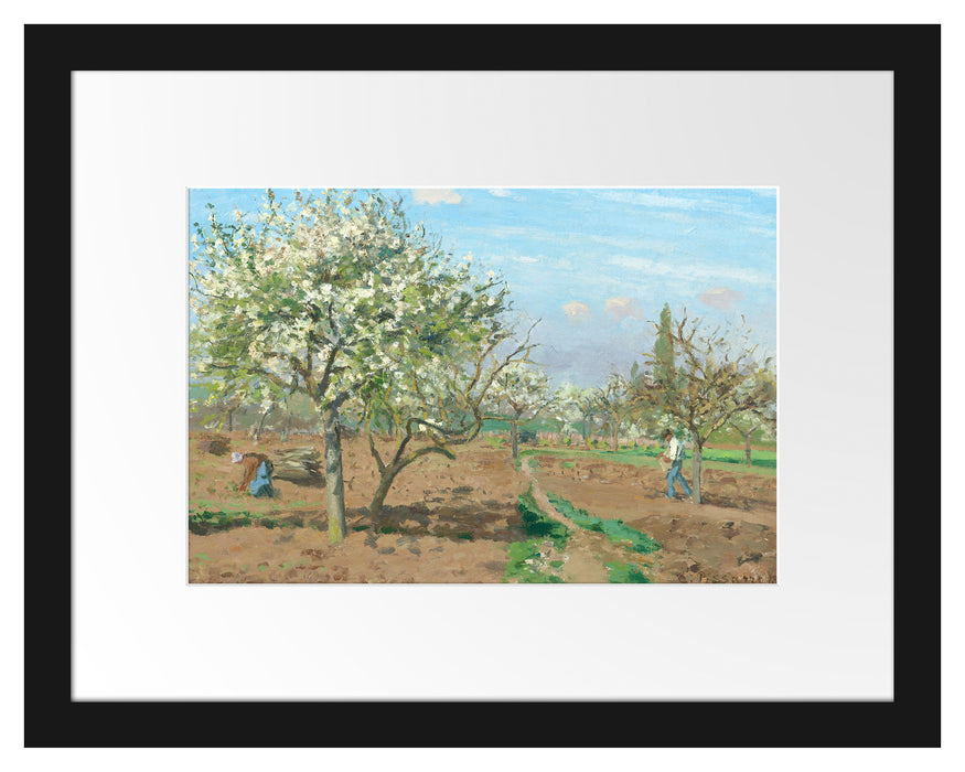 Pixxprint Camille Pissarro - Orchard in Blossom Louveciennes , im Galerie-Passepartout Bilderrahmen