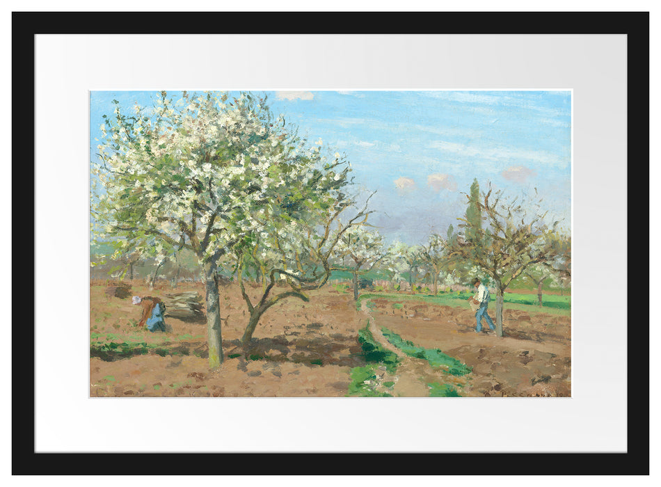 Camille Pissarro - Orchard in Blossom Louveciennes  Passepartout Rechteckig 40