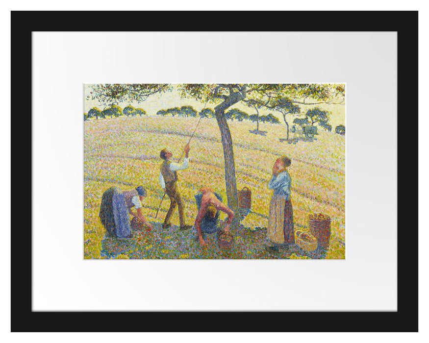 Camille Pissarro - Apple Harvest Passepartout Rechteckig 30
