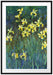 Claude Monet - Gelbe Schwertlilien  Passepartout Rechteckig 100