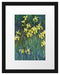 Claude Monet - Gelbe Schwertlilien  Passepartout Rechteckig 30