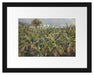 Pierre-Auguste Renoir - Feld mit Bananenbäumen  Passepartout Rechteckig 30