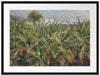 Pierre-Auguste Renoir - Feld mit Bananenbäumen  Passepartout Rechteckig 80