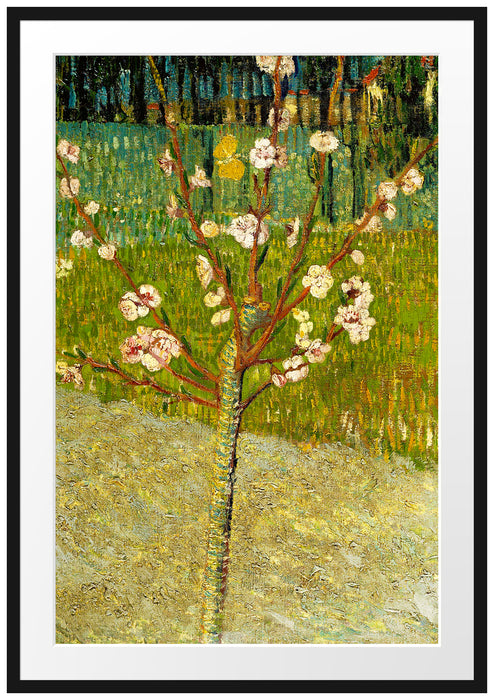 Vincent Van Gogh - Blühender Mandelbaum  Passepartout Rechteckig 100