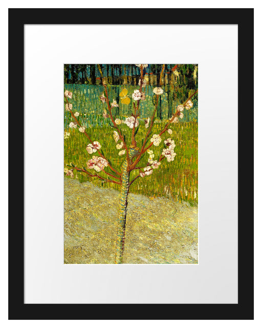 Vincent Van Gogh - Blühender Mandelbaum  Passepartout Rechteckig 30