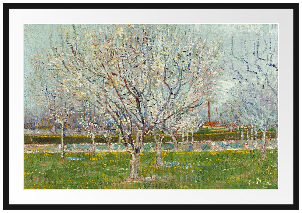 Vincent Van Gogh - Blühender Obstgarten Pflaumenbaum  Passepartout Rechteckig 100