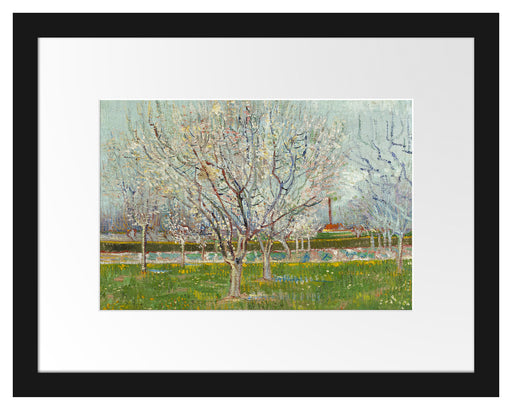 Vincent Van Gogh - Blühender Obstgarten Pflaumenbaum  Passepartout Rechteckig 30
