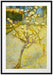 Vincent Van Gogh - Blühender kleiner Birnenbaum  Passepartout Rechteckig 100