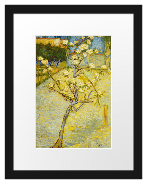 Vincent Van Gogh - Blühender kleiner Birnenbaum  Passepartout Rechteckig 30