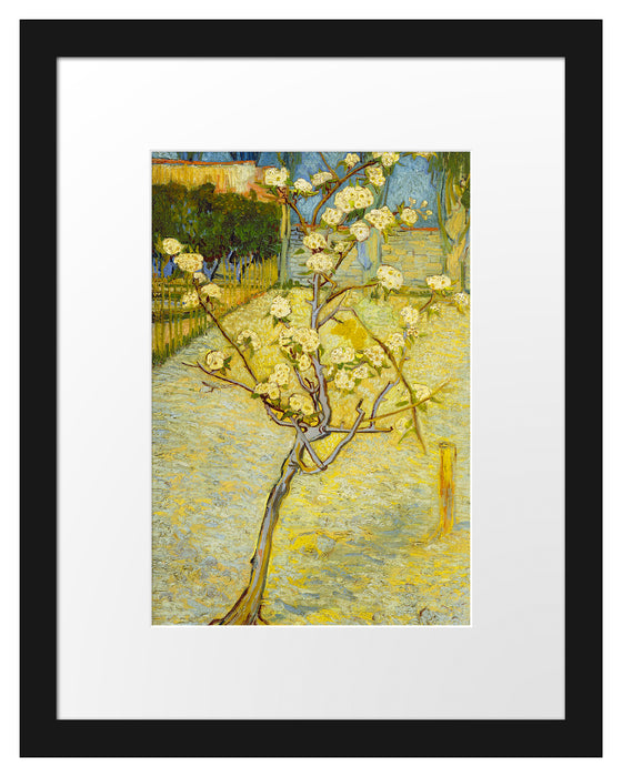 Pixxprint Vincent Van Gogh - Blühender kleiner Birnenbaum , im Galerie-Passepartout Bilderrahmen
