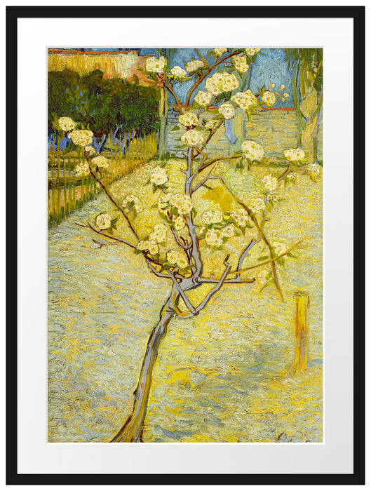 Vincent Van Gogh - Blühender kleiner Birnenbaum  Passepartout Rechteckig 80