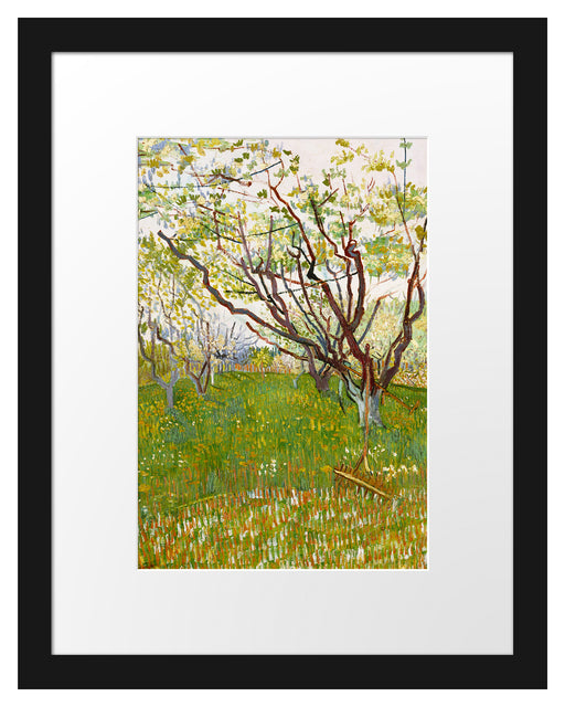 Vincent Van Gogh - Der blühende Obstgarten  Passepartout Rechteckig 30