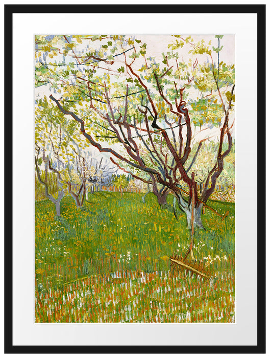 Vincent Van Gogh - Der blühende Obstgarten  Passepartout Rechteckig 80