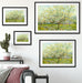 Vincent Van Gogh - Der weiße Obstgarten  Passepartout Wohnzimmer Rechteckig