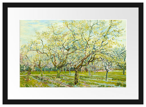 Vincent Van Gogh - Der weiße Obstgarten  Passepartout Rechteckig 40