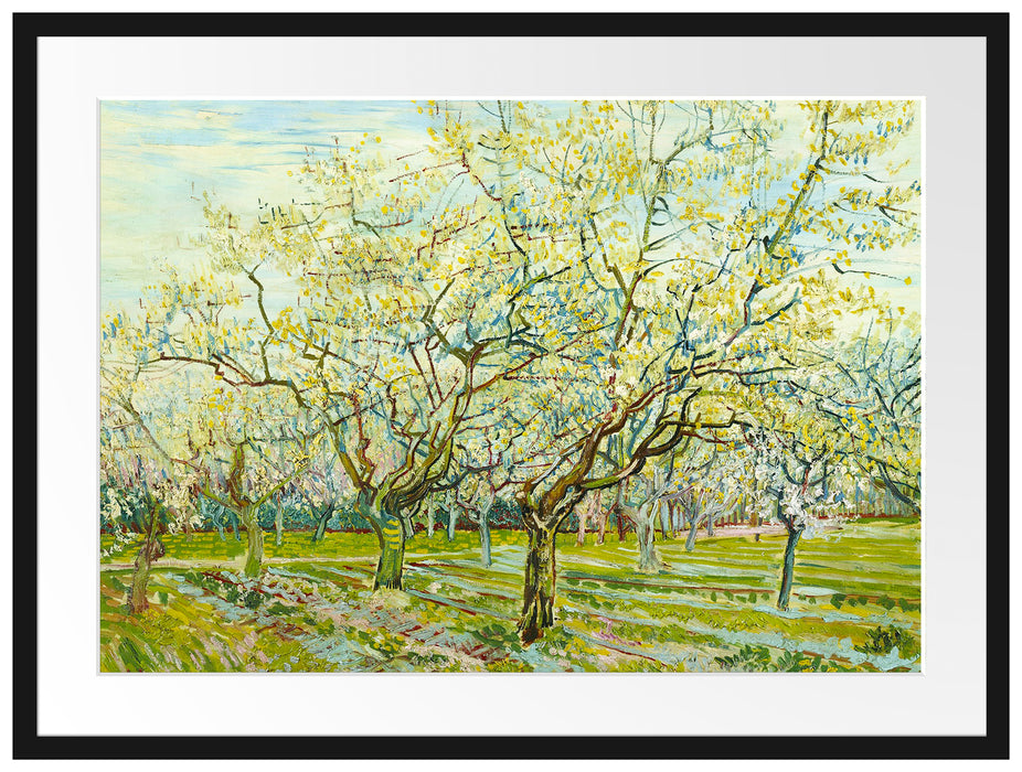 Vincent Van Gogh - Der weiße Obstgarten  Passepartout Rechteckig 80