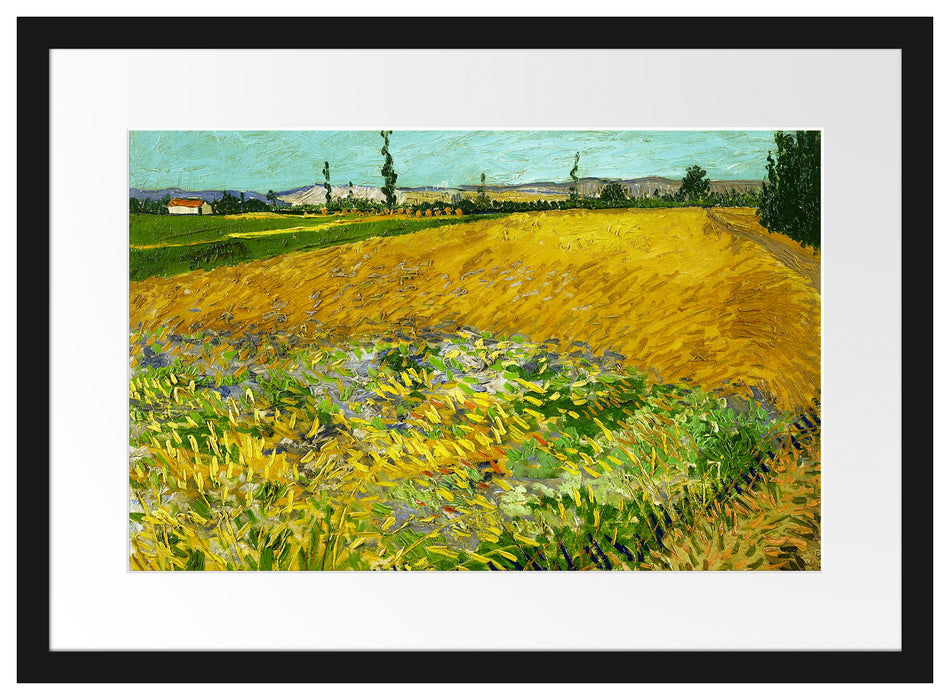 Vincent Van Gogh - Weizenfeld  Passepartout Rechteckig 40