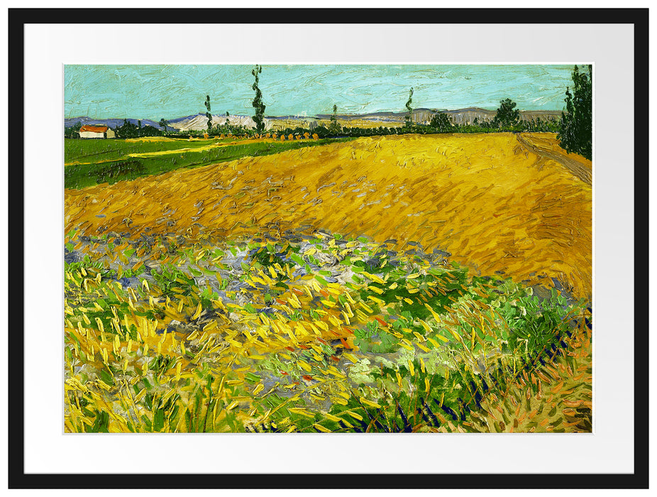 Vincent Van Gogh - Weizenfeld  Passepartout Rechteckig 80