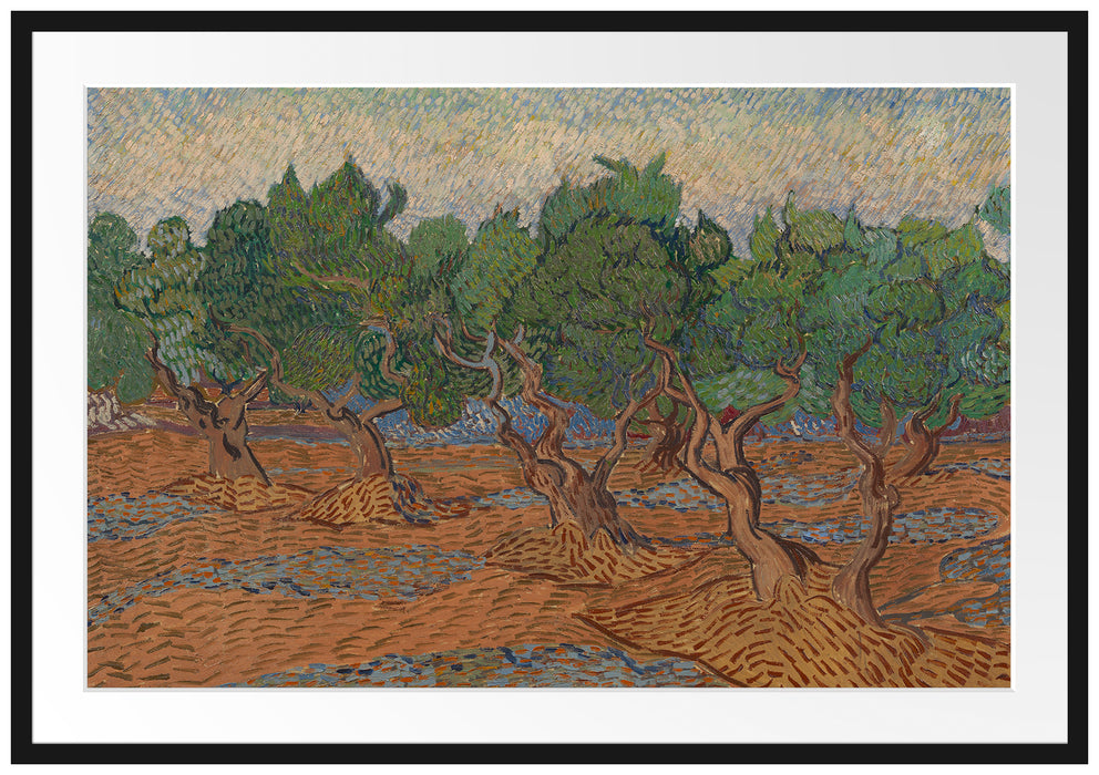 Vincent Van Gogh - Oliven-Hain  Passepartout Rechteckig 100