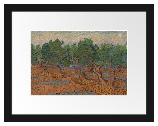 Vincent Van Gogh - Oliven-Hain  Passepartout Rechteckig 30