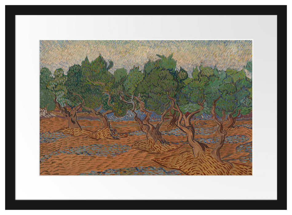Vincent Van Gogh - Oliven-Hain  Passepartout Rechteckig 40