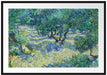 Vincent Van Gogh - Oliven-Feld  Passepartout Rechteckig 100