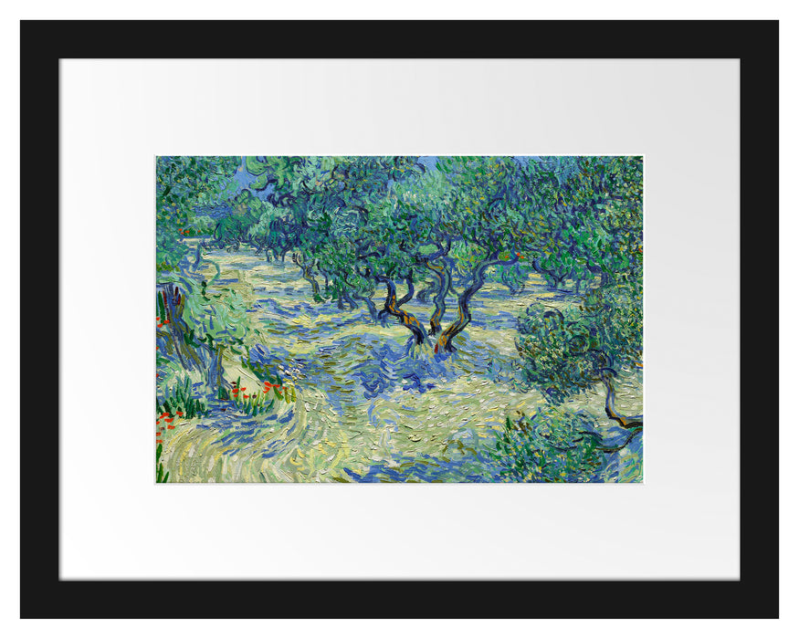 Pixxprint Vincent Van Gogh - Oliven-Feld , im Galerie-Passepartout Bilderrahmen