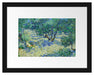 Vincent Van Gogh - Oliven-Feld  Passepartout Rechteckig 30
