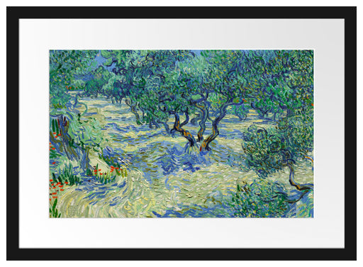 Vincent Van Gogh - Oliven-Feld  Passepartout Rechteckig 40