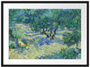 Vincent Van Gogh - Oliven-Feld  Passepartout Rechteckig 80