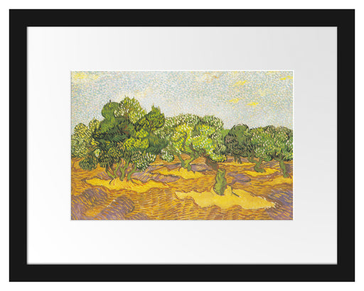 Vincent Van Gogh - Oliven-Bäume II  Passepartout Rechteckig 30