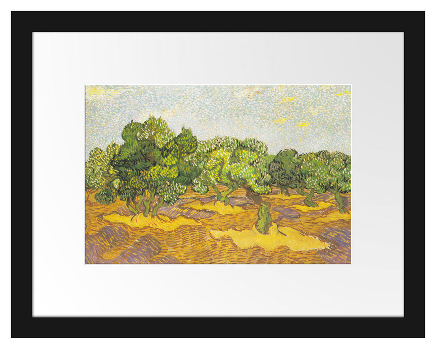 Vincent Van Gogh - Oliven-Bäume II  Passepartout Rechteckig 30