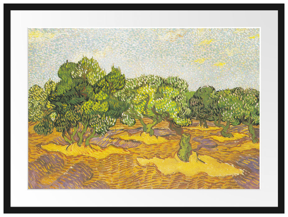 Vincent Van Gogh - Oliven-Bäume II  Passepartout Rechteckig 80
