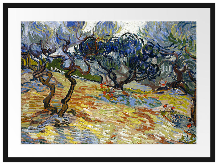 Vincent Van Gogh - Oliven-Bäume  Passepartout Rechteckig 80