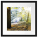 Sonnenstrahlen im Wald Passepartout Quadratisch 40x40