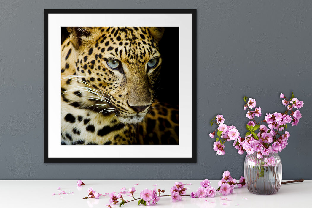 Leopard mit blauen Augen Quadratisch Passepartout Dekovorschlag