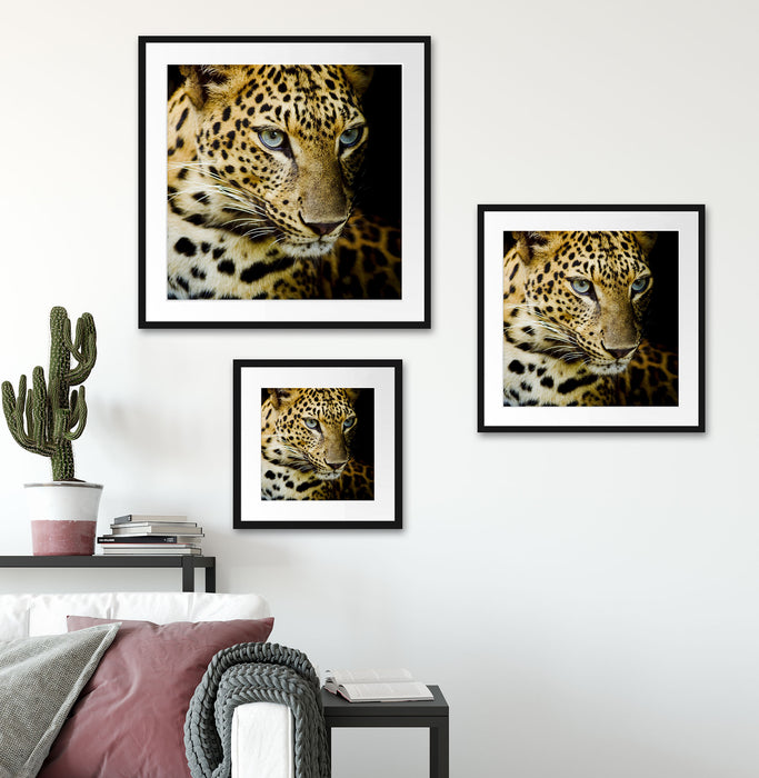 Leopard mit blauen Augen Quadratisch Passepartout Wohnzimmer