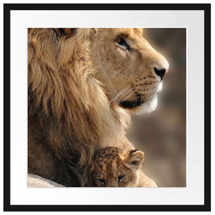 Löwe mit Löwenbaby Passepartout Quadratisch 55x55