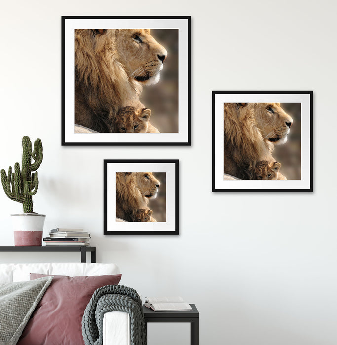 Löwe mit Löwenbaby Quadratisch Passepartout Wohnzimmer