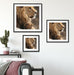 Löwe mit Löwenbaby Quadratisch Passepartout Wohnzimmer
