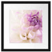 Traumhafte lila weiße Blüte Passepartout Quadratisch 40x40