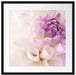 Traumhafte lila weiße Blüte Passepartout Quadratisch 55x55
